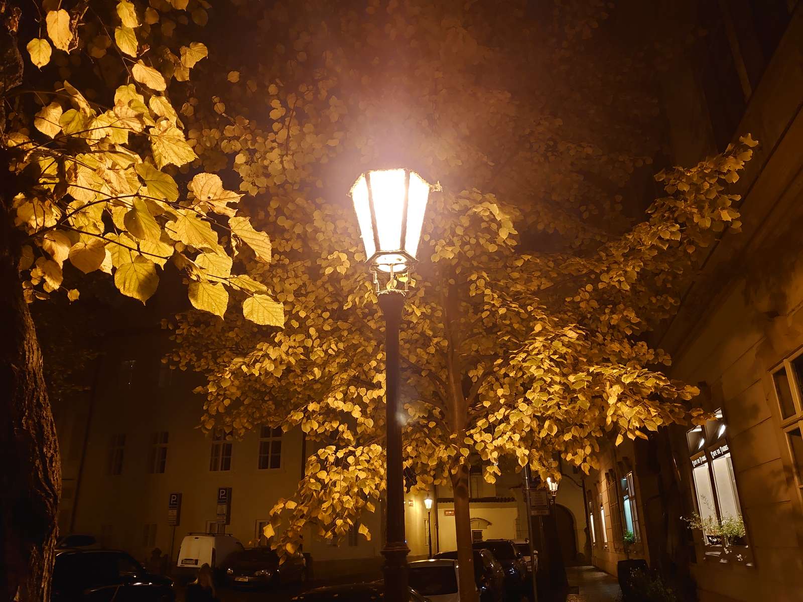 Linterna Kampa de Praga rompecabezas en línea