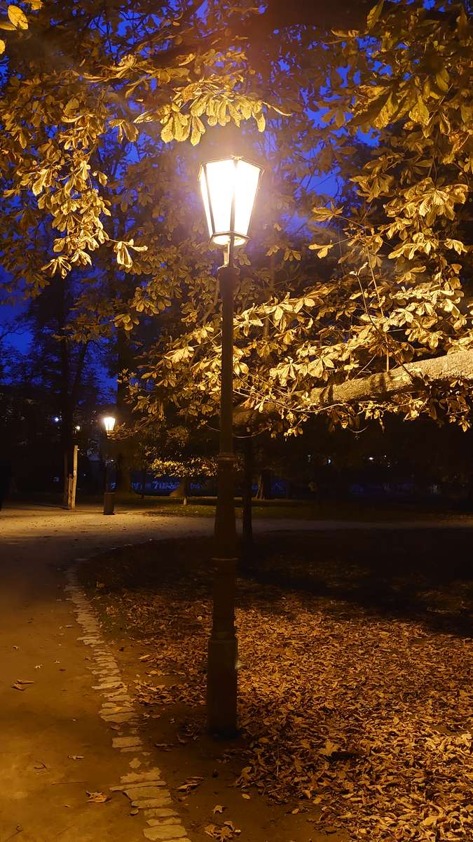 Пражский осенний вечерний фонарь онлайн-пазл