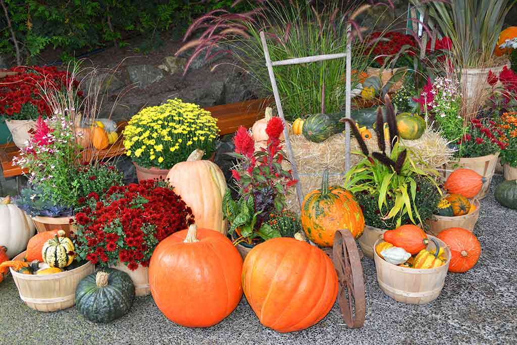Podzimní dekorace na zahradě skládačky online