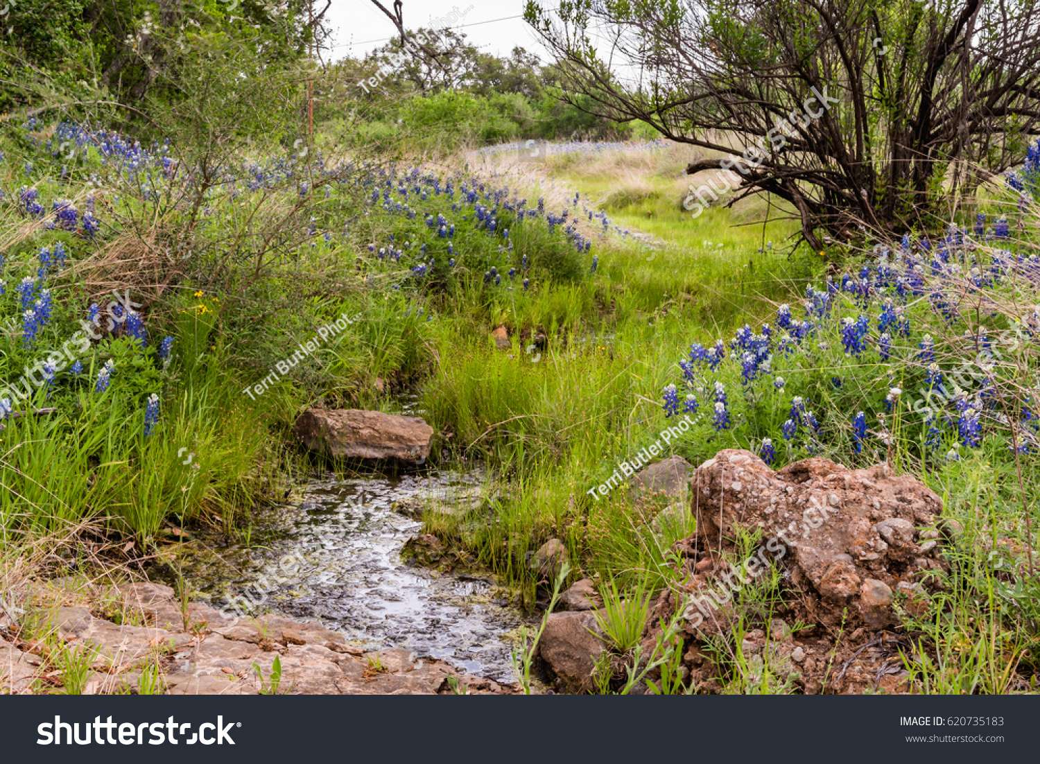 Small creek in Texas, US online puzzle