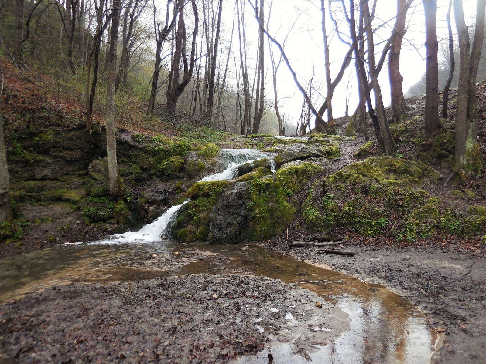 Waterfall in the Będkowska Valley online puzzle