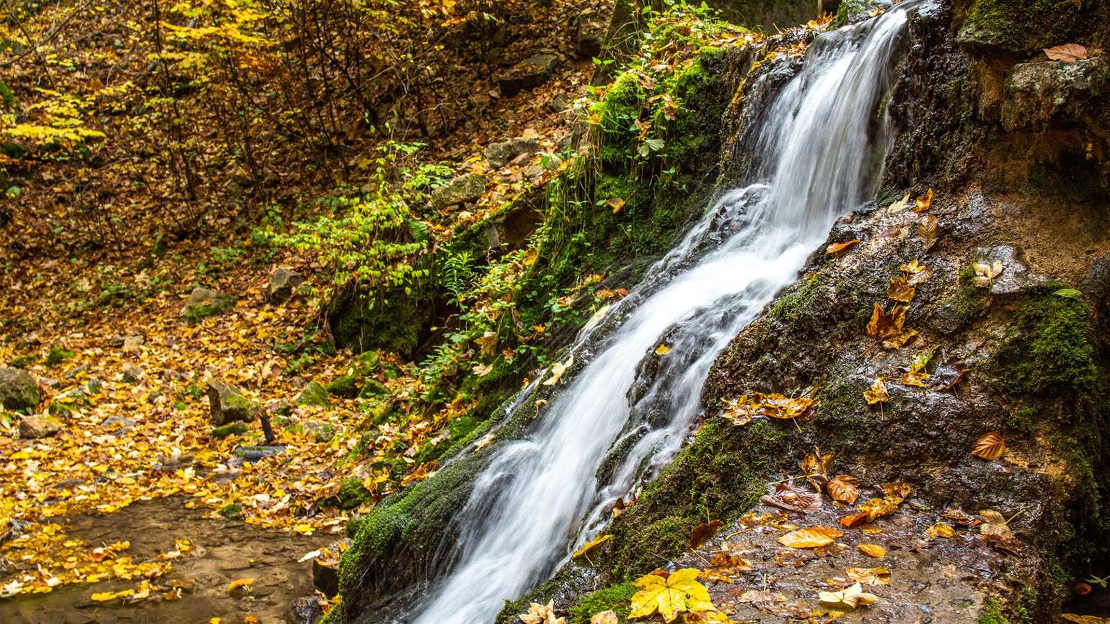 Una piccola cascata in autunno puzzle online