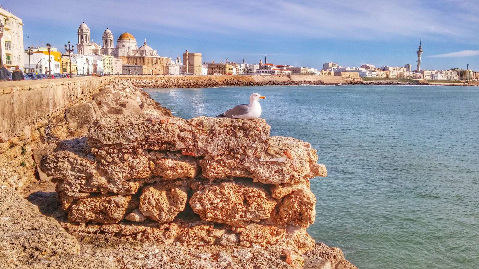 Cidade de Cádiz Andaluzia puzzle online