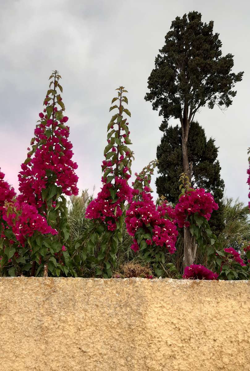 blommor och träd bakom muren pussel på nätet