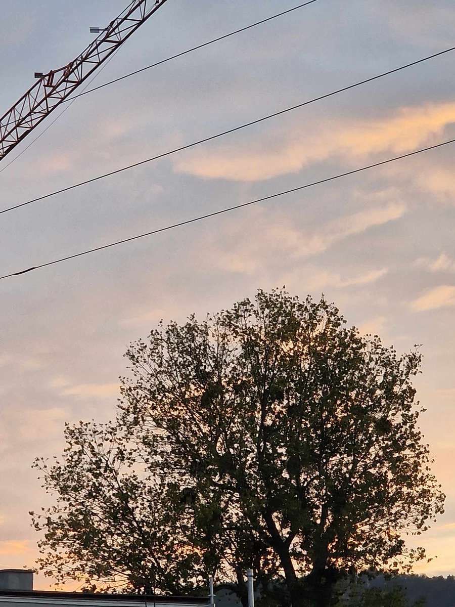 11月の夕日 オンラインパズル