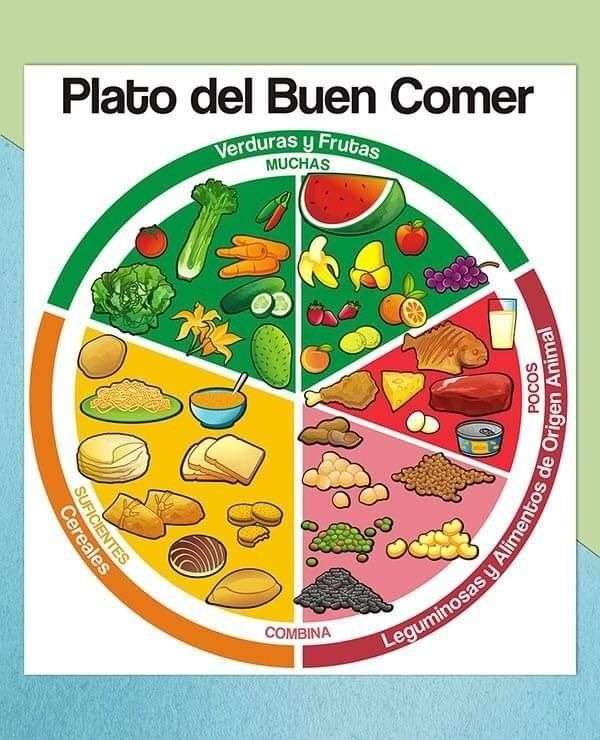 Planto del buen comer rompecabezas en línea