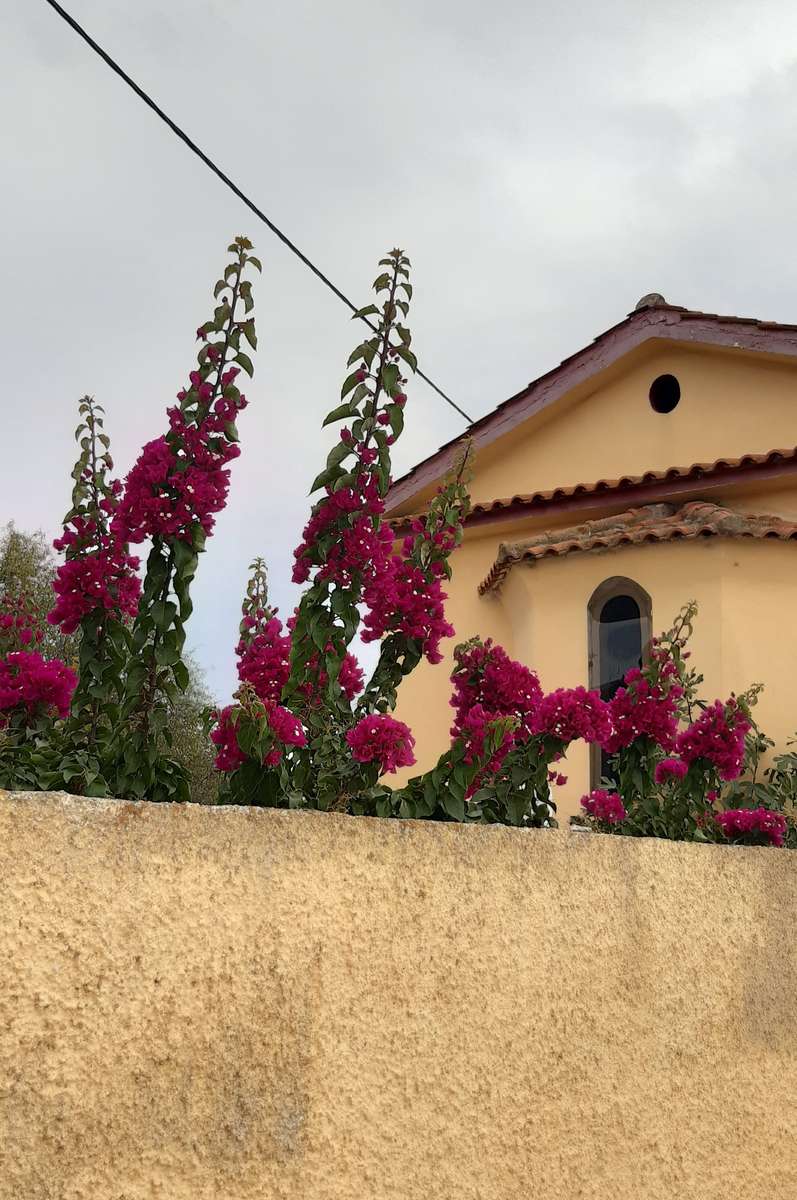 λουλούδια τοίχου εκκλησίας παζλ online