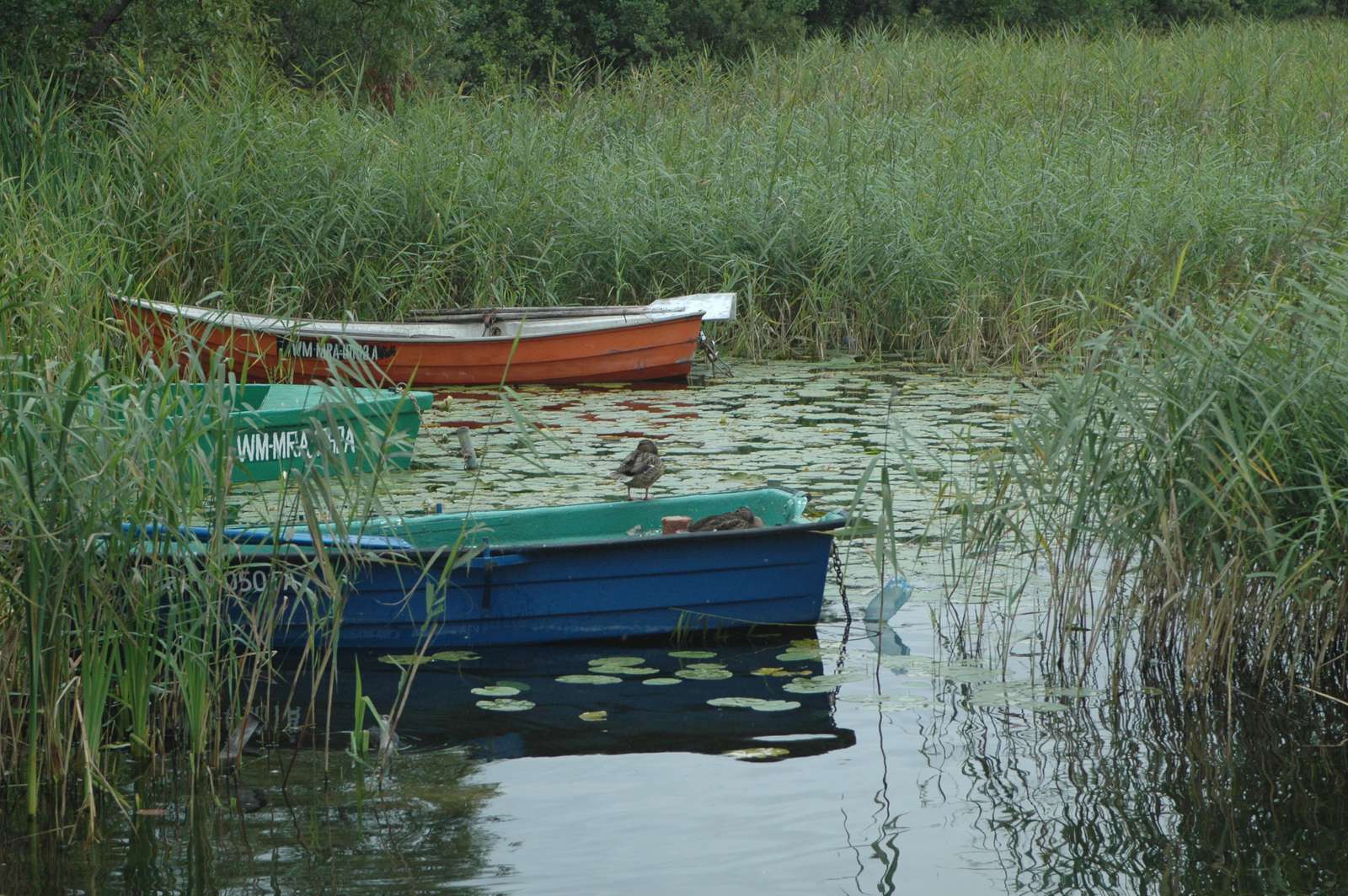 лодки на озере онлайн-пазл