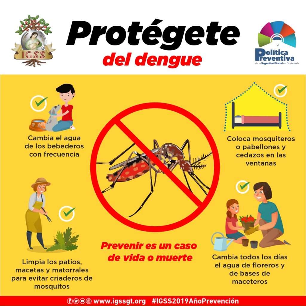 Protégete del Dengue rompecabezas en línea