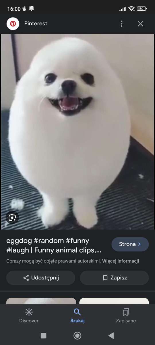 Eggdooog пазл онлайн