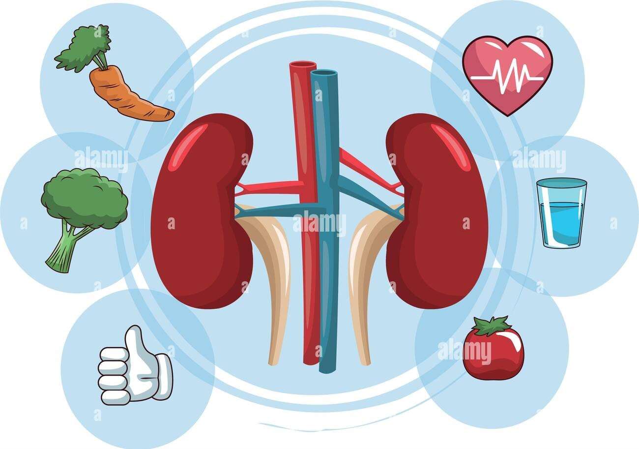 DOENÇA RENAL puzzle online