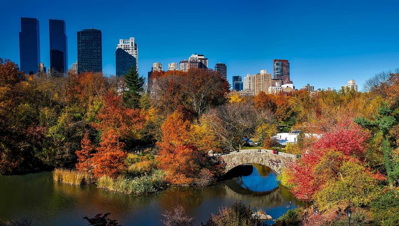 Central Park, New York City Puzzlespiel online