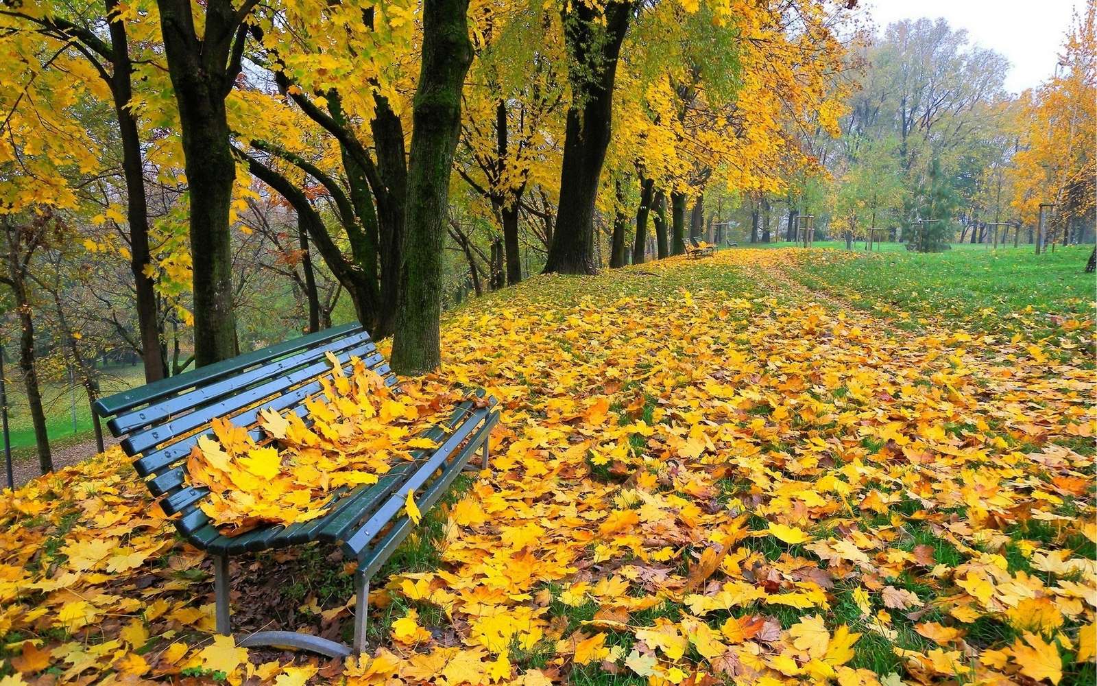 Herbst im Park Online-Puzzle
