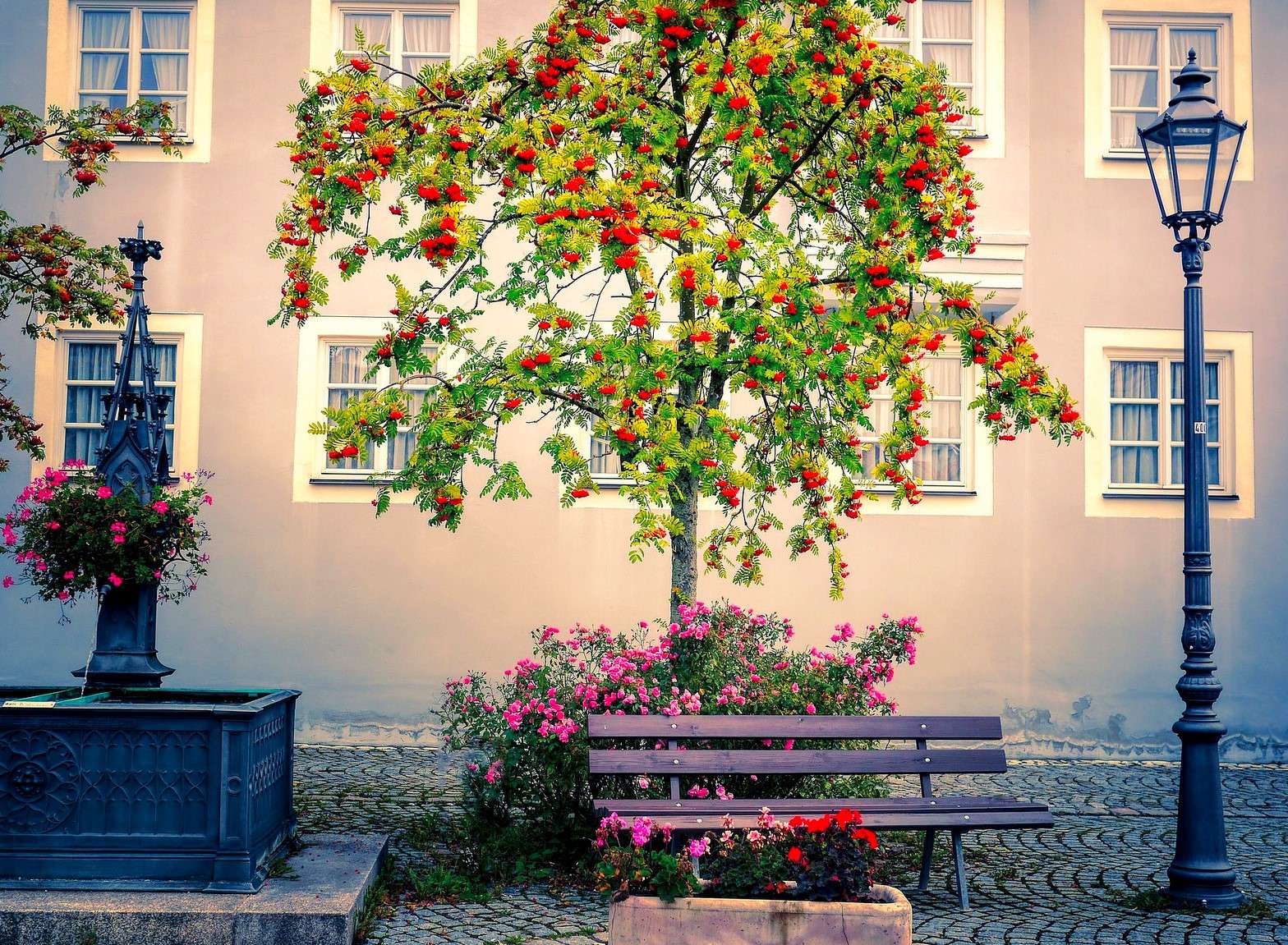 Rowan tree in the city square online puzzle