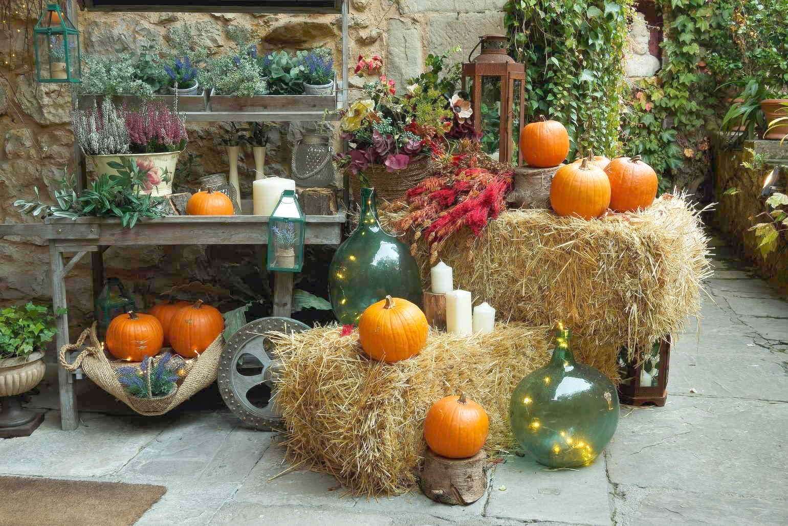 Autumn decoration in the yard jigsaw puzzle online
