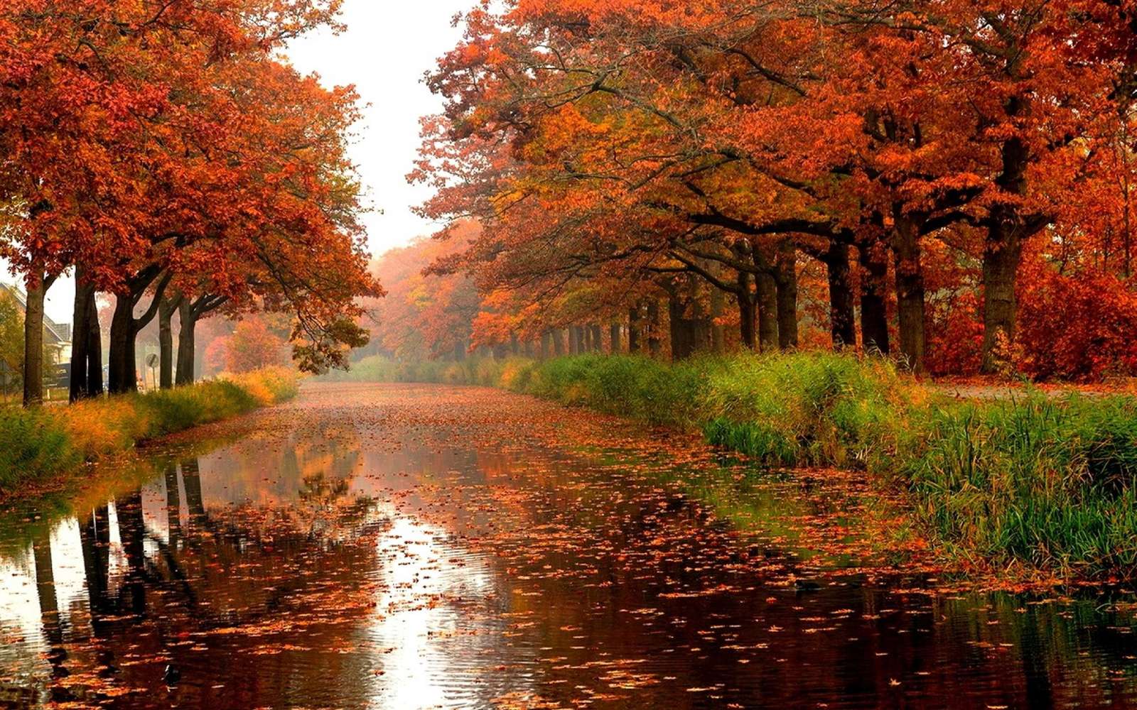 Folhas de outono no rio puzzle online