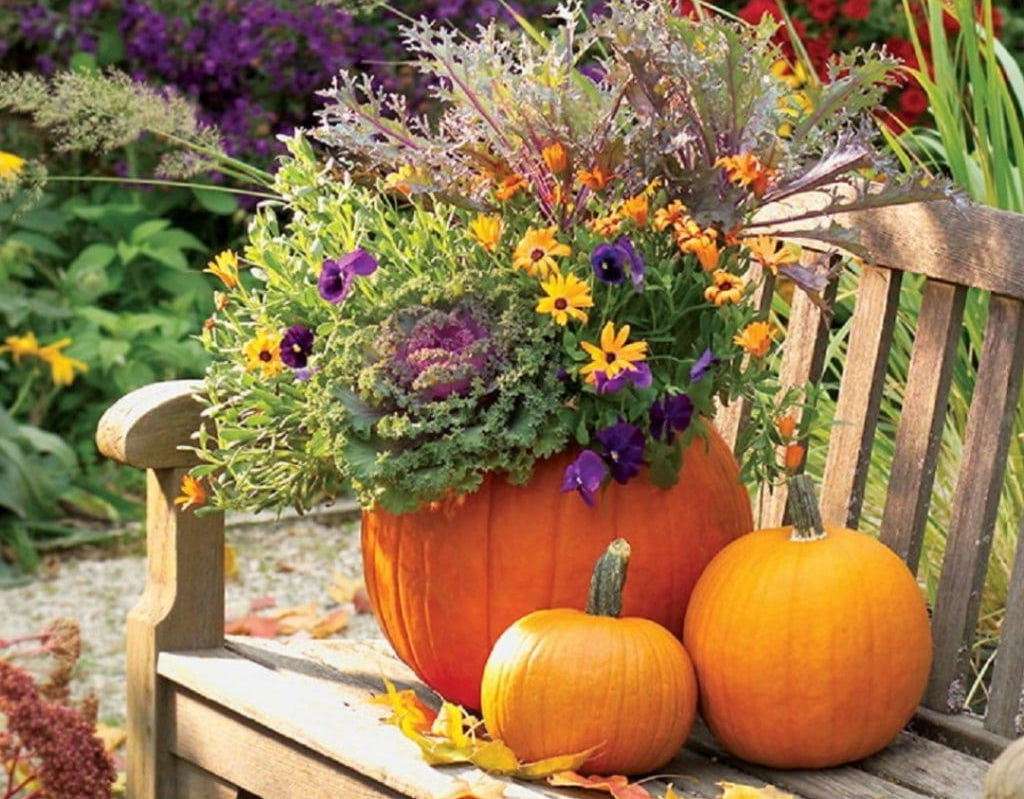 Podzimní dekorace z dýní a květin skládačky online