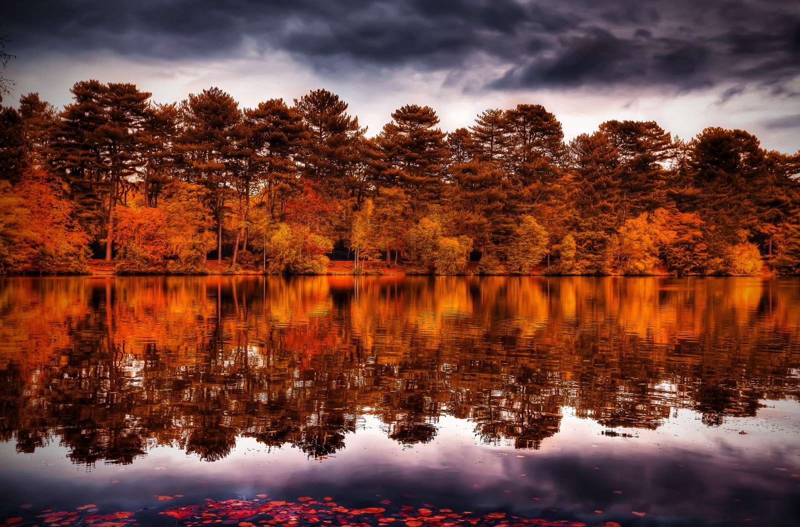 Podzimní les u jezera online puzzle