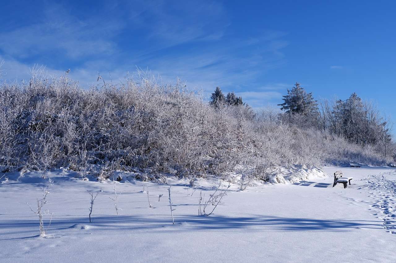 Vinter, snö, landskap Pussel online