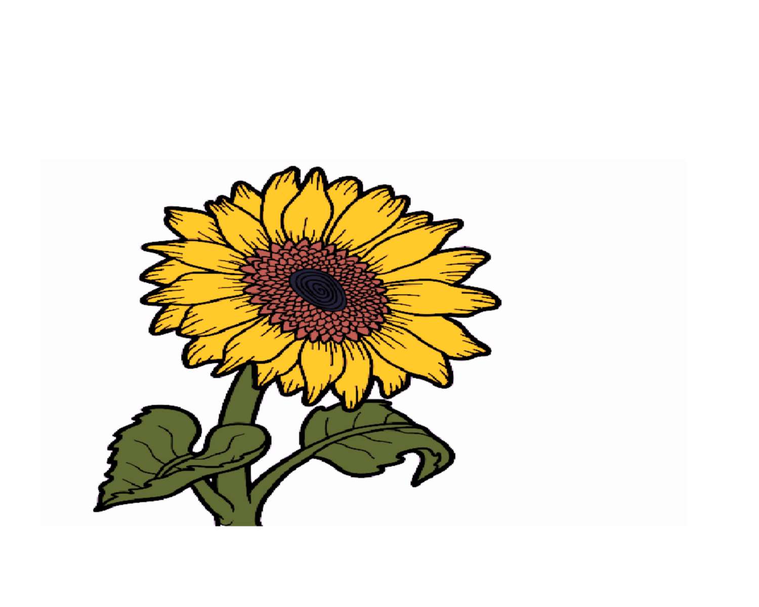 čistá kresba slunečnice skládačky online
