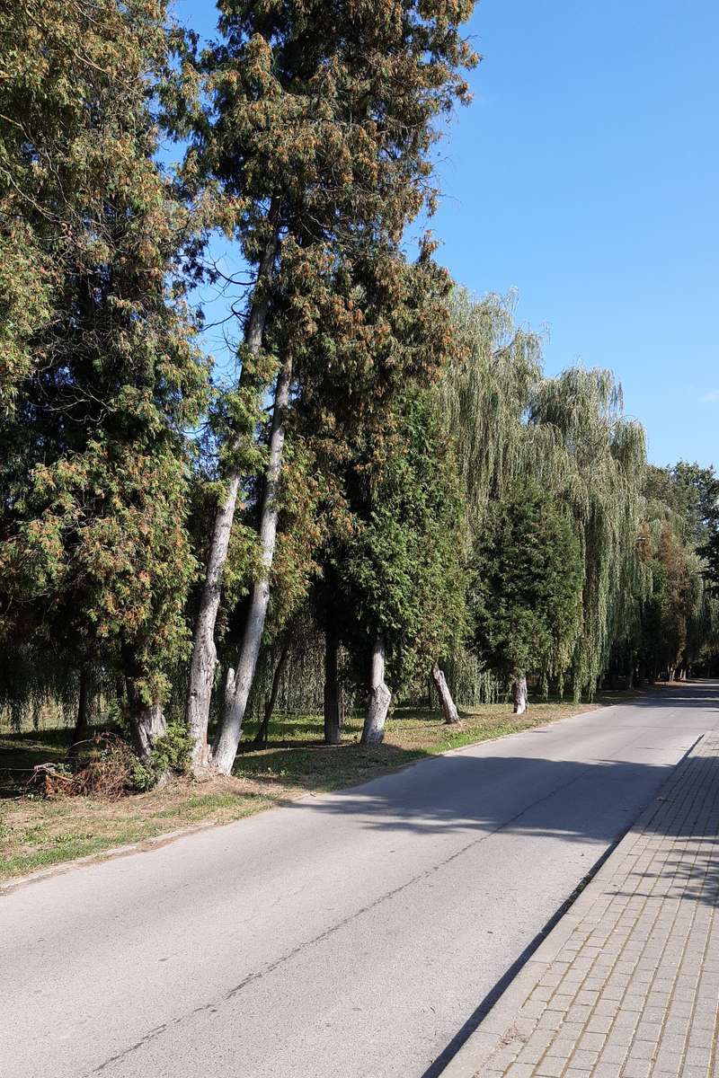 μια βόλτα κατά μήκος της οδού Portowa online παζλ