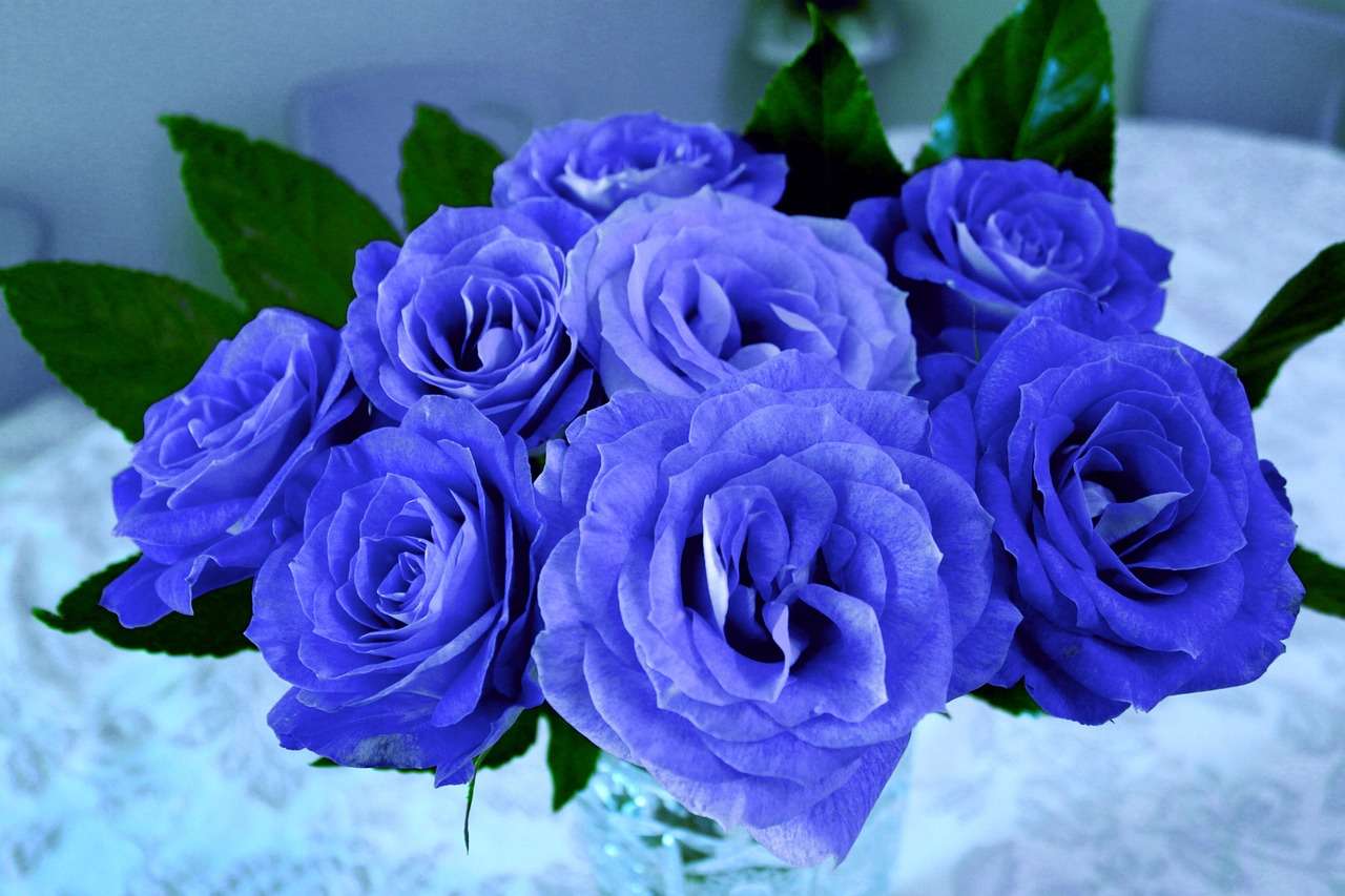 Die schönste Rose von Pixabay Online-Puzzle