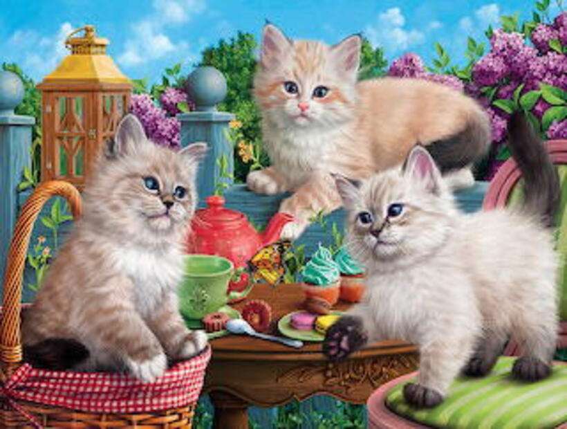 Три красивых котенка пазл онлайн