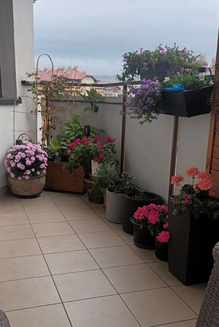балкон повний квітів пазл онлайн