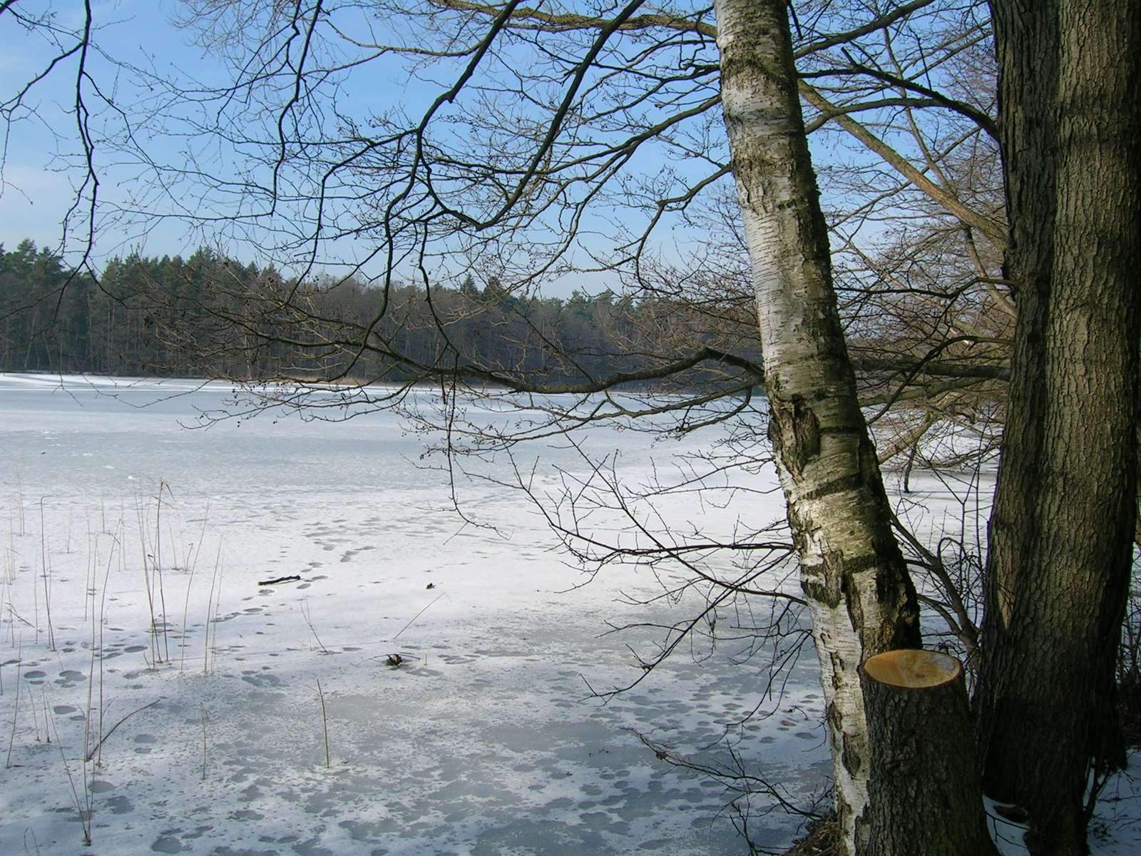 замръзнало езеро онлайн пъзел