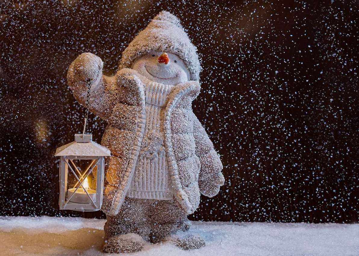 besouro lyoder com boneco de neve quebra-cabeças online
