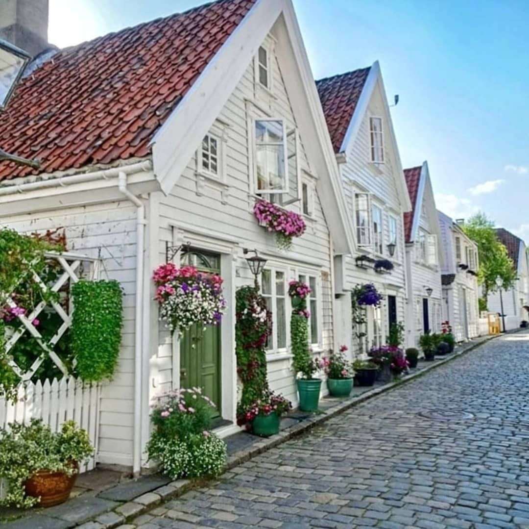 White wooden houses and cobbled street jigsaw puzzle online