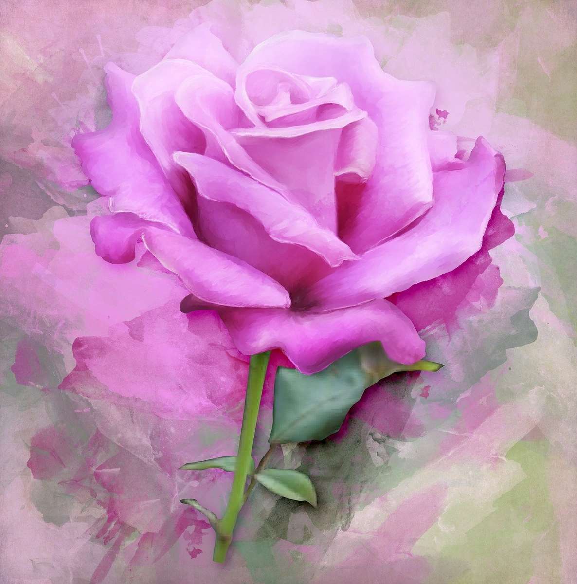 la rosa più bella, carina e bella puzzle online