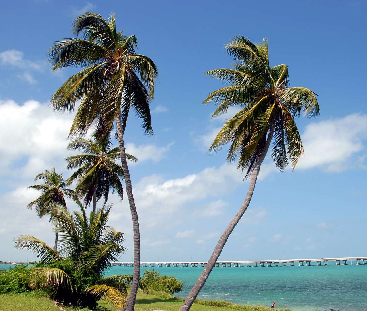 Parque Bahia Honda puzzle online