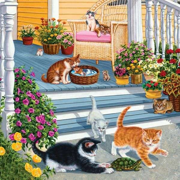 gatos no terraço puzzle online