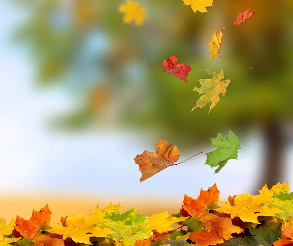Foto krásného podzimu skládačky online