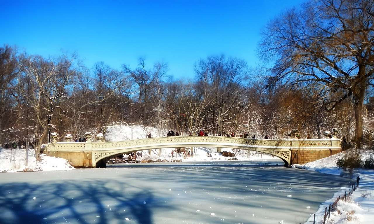 Central Park, Nueva York rompecabezas en línea