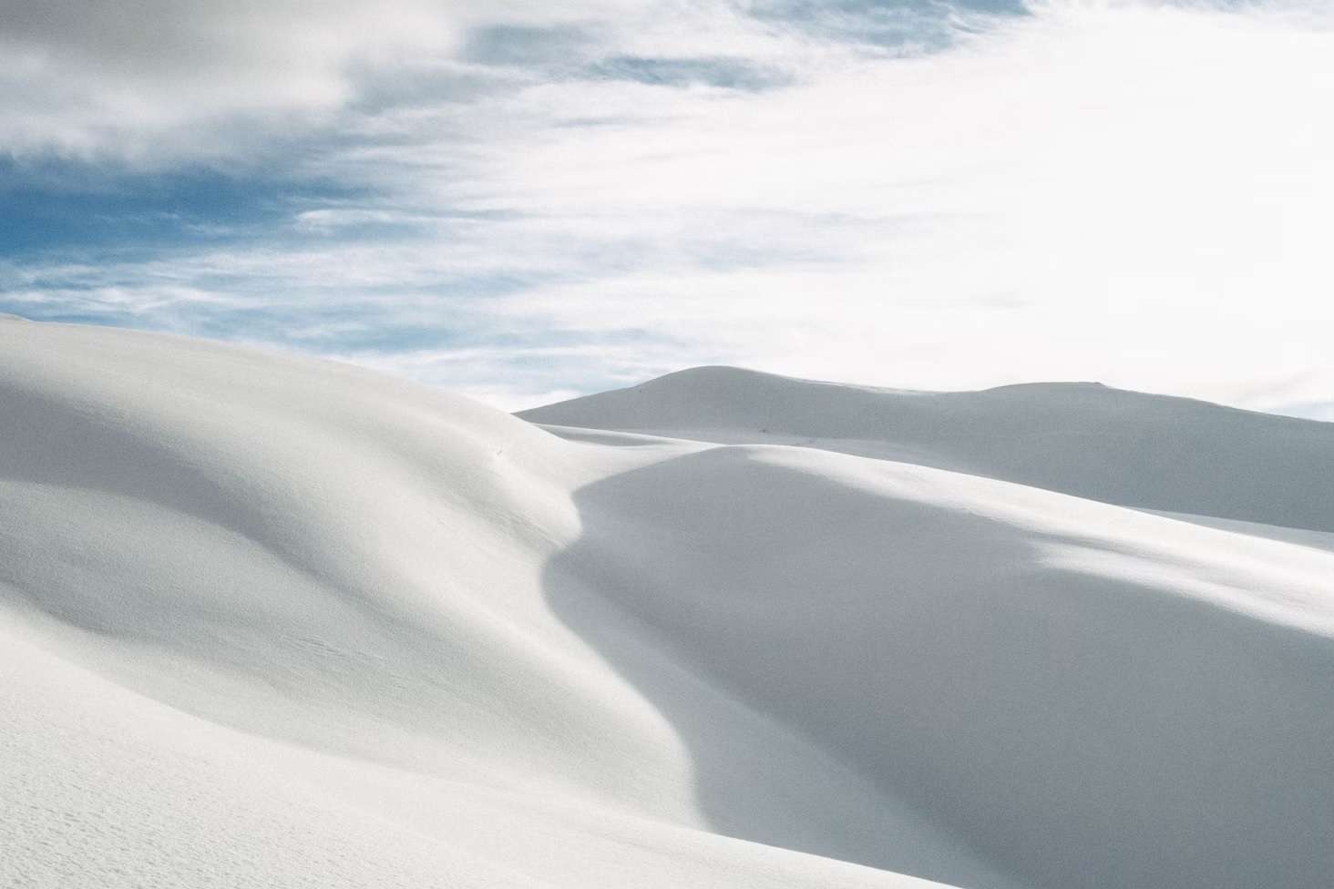 Σκαθάρι Lyoder στην άσπρη έρημο παζλ online