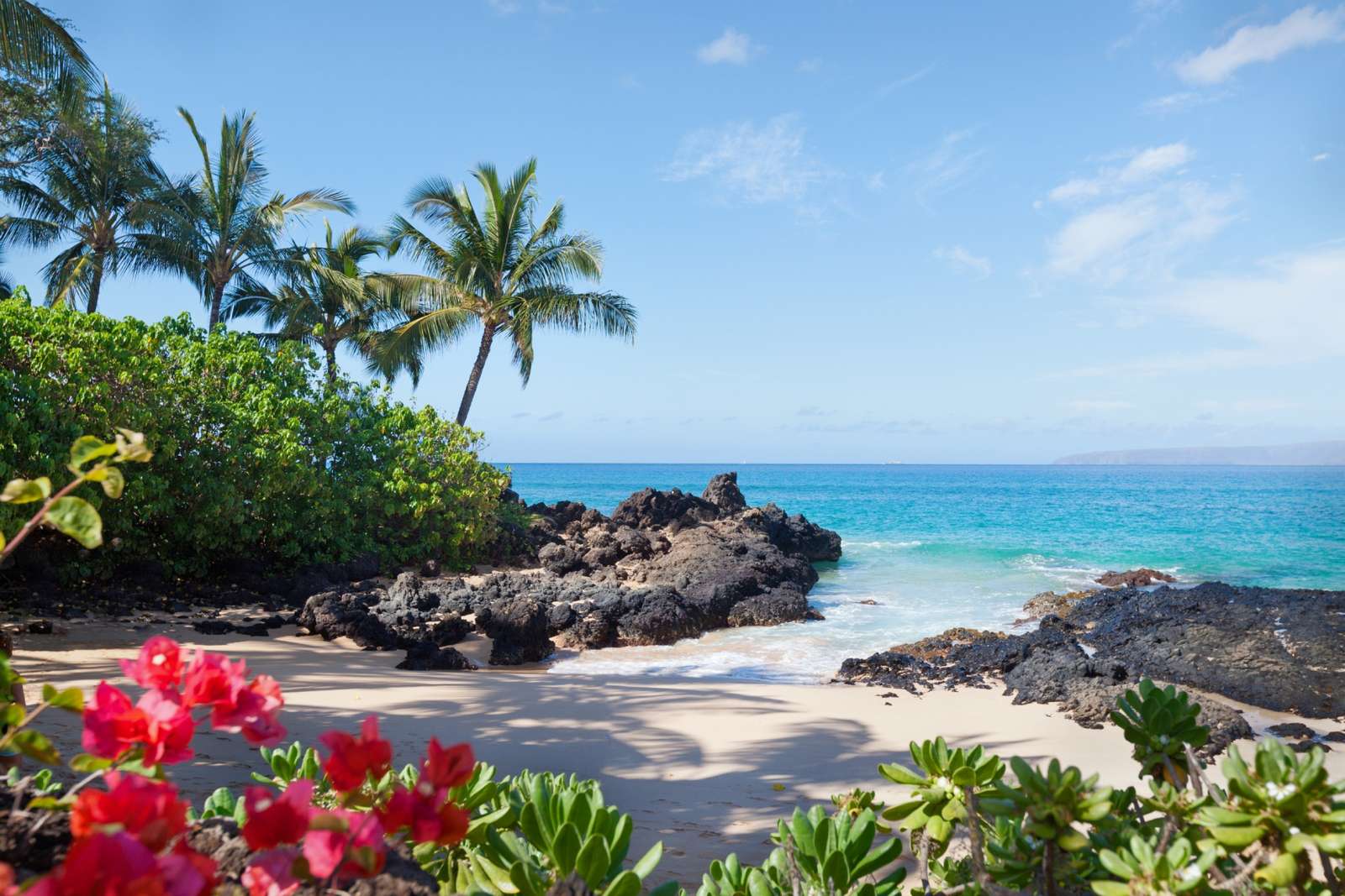 пляж на Гавайях онлайн-пазл