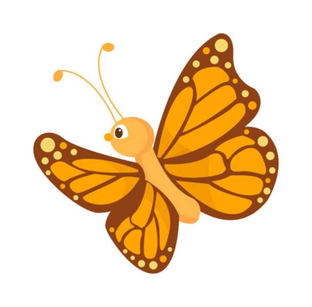 le plus beau papillon puzzle en ligne