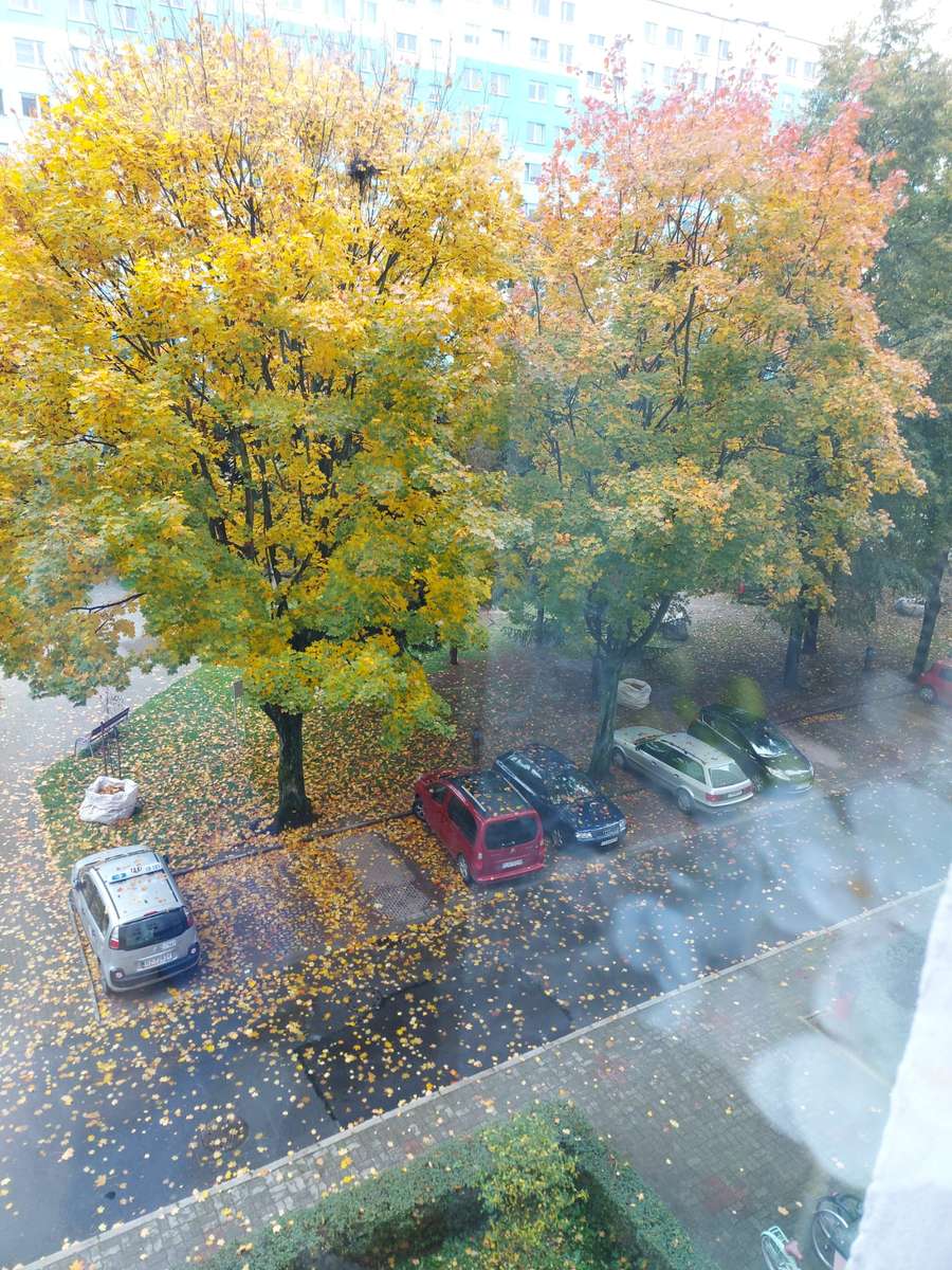 November az ablakon kívül online puzzle