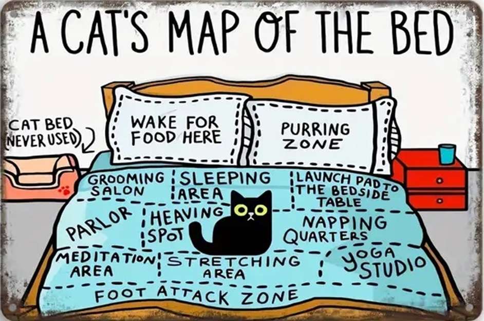 Ο χάρτης της γάτας του κρεβατιού - Carte du lit selon le chat online παζλ