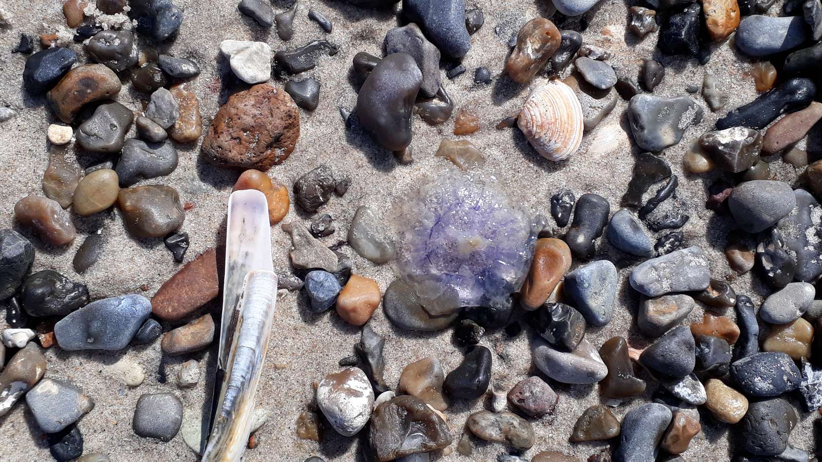 Камъни на плажа онлайн пъзел