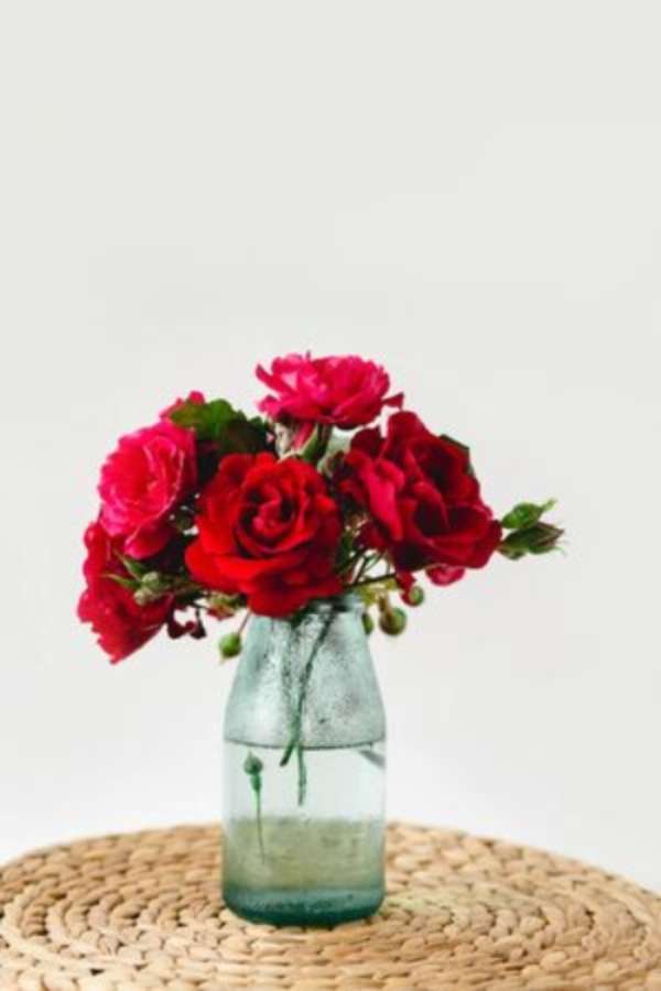 moc krásné krásné růže skládačky online