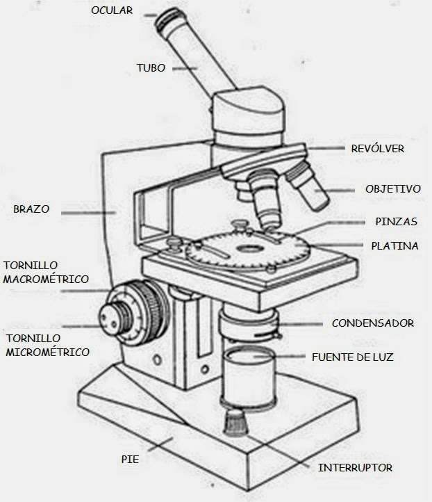 Микроскоп онлайн-пазл