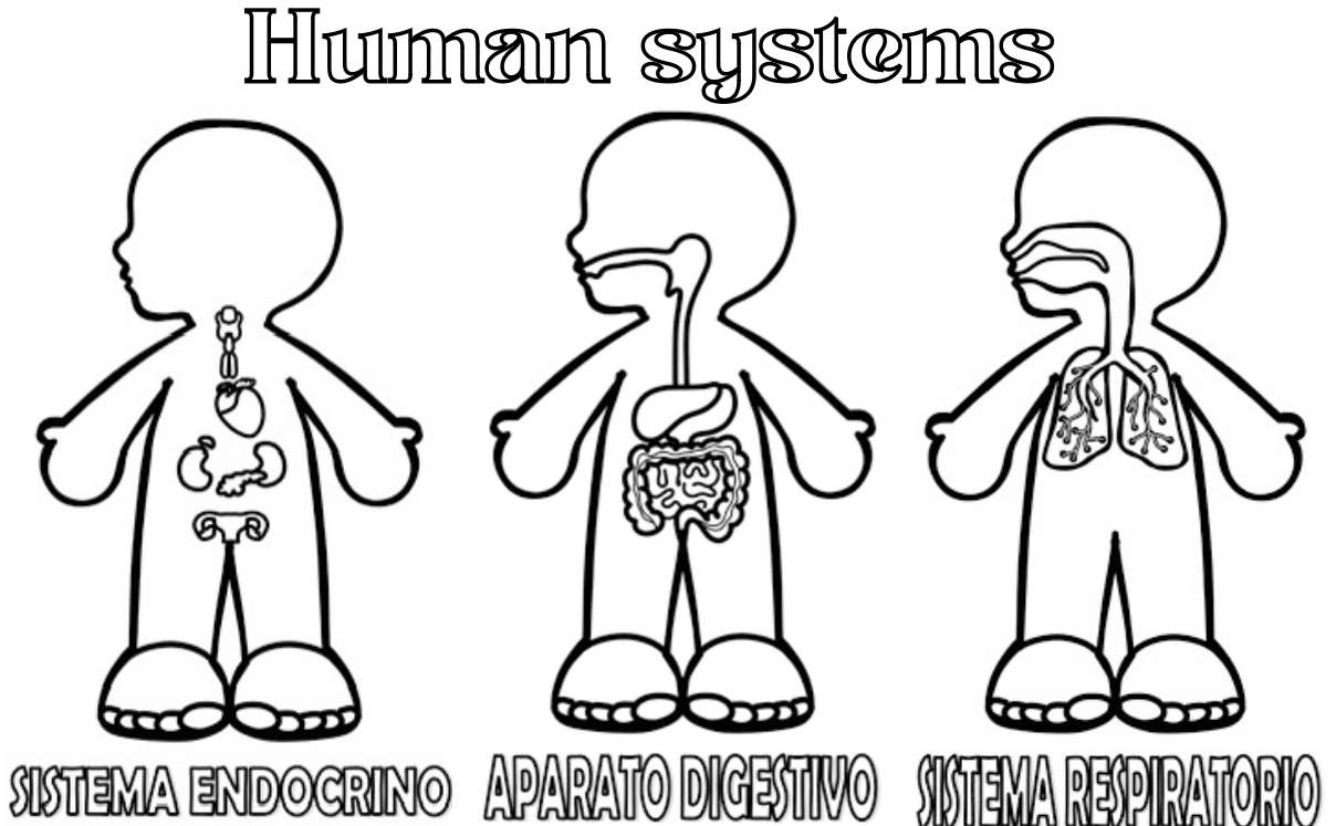 menselijk systeem legpuzzel online