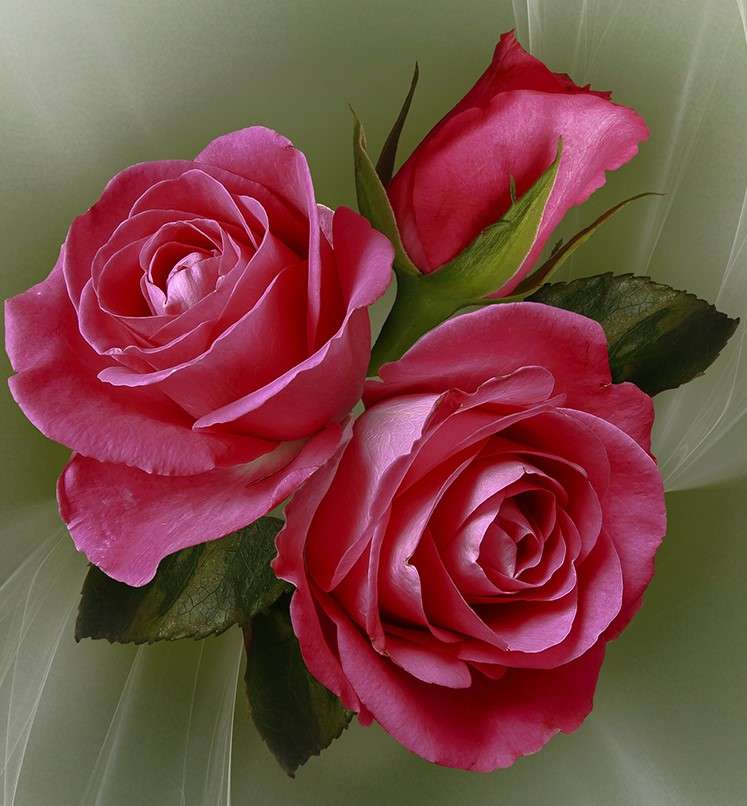 Картина с розами онлайн-пазл