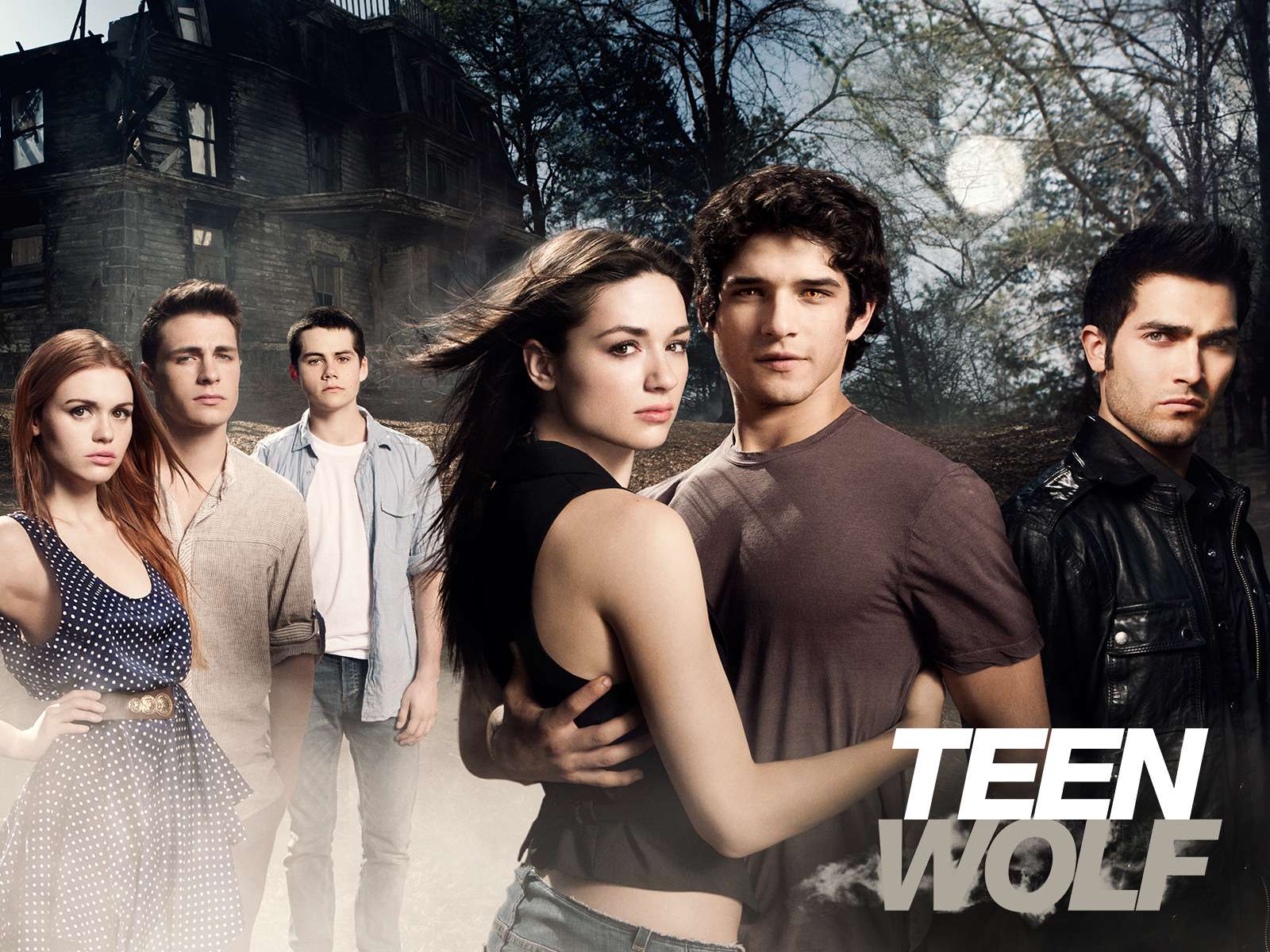 teen wolf jigsaw puzzle online