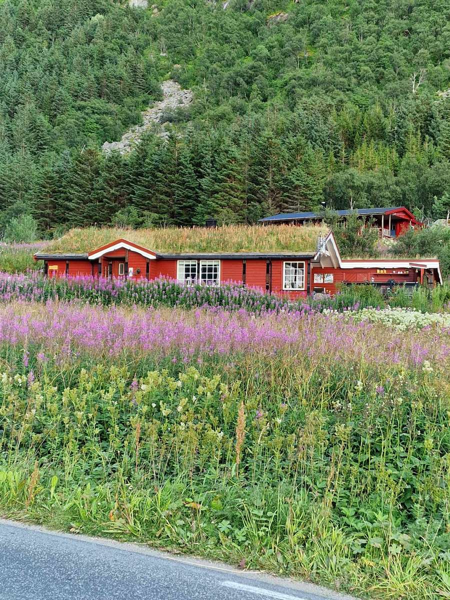 Huis in bloemen Rorvika Noorwegen online puzzel