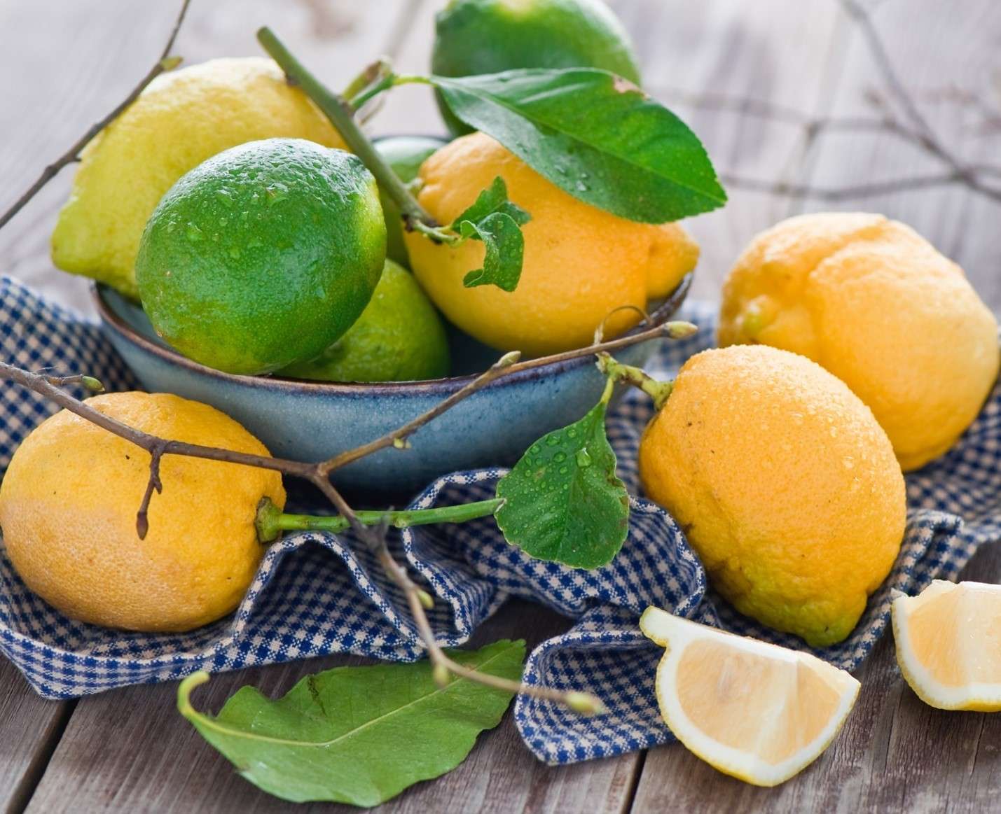 Citrus vruchten legpuzzel online