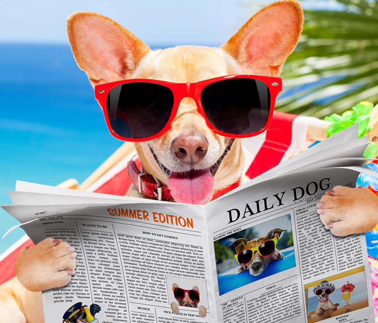 Cachorro engraçado de férias quebra-cabeças online